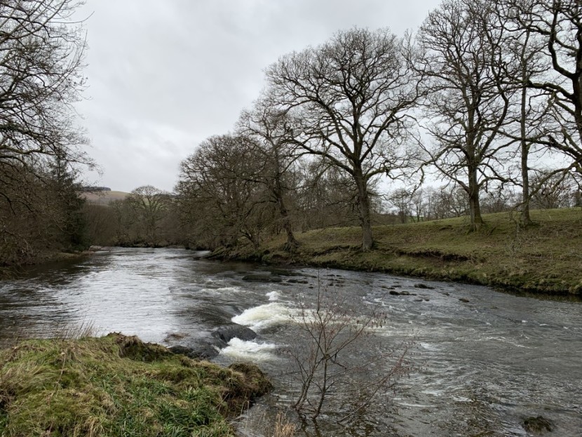 Cefnllysgwynne - AC from Nailsea